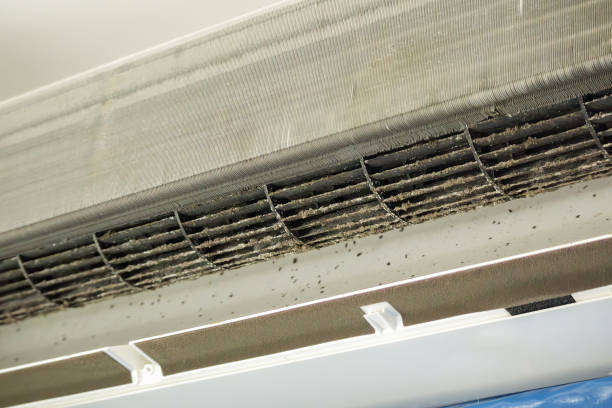 Best Affordable HVAC Duct Cleaning  in Sterling, VA